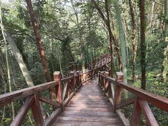 -第一山景区