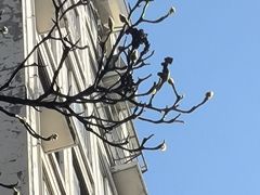 -星巴克(杭州大厦C座店)