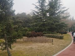 -城市运动公园(未央区)