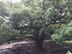 -晓港公园