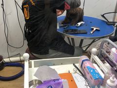 -喜狗宠物生活馆(岳州路店)