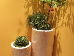 -康逸居·始于2002(海安店)