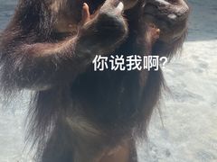 -上海野生动物园