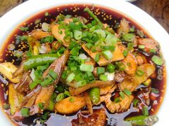 -龙翔山庄雷鸡肉(青城后山泰安古镇店)