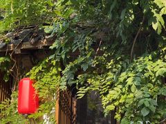 -鲤院·新中式美学·庭院餐厅(夫子庙店)