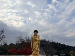 -冶父山国家森林公园