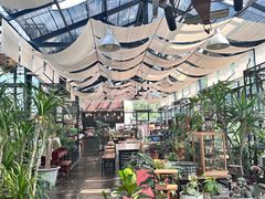 -北马山庄植趣咖啡