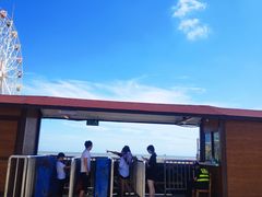 -奉贤海滩