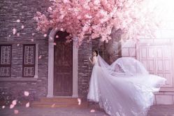 -金夫人婚纱摄影(华南店)