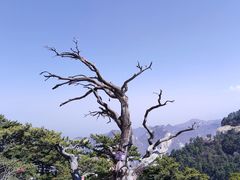 -华山风景名胜区
