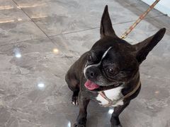 -贝康宠物医院·犬猫全科·小动物特色诊疗中心(东环路店)