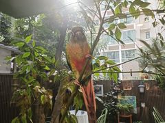 -绿房子方寸咖啡(星海名城店)