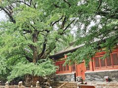 -晋祠公园