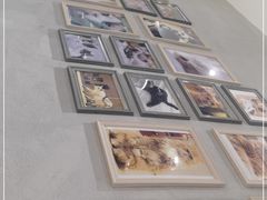 -藏猫猫咖啡主题馆(中央大道店)