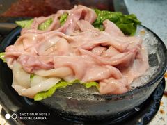 -二荆条·蜀鲜汇城市森林火锅