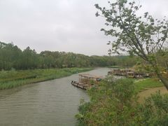 -上海长兴岛郊野公园