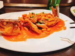 -乾园(恒隆广场店)