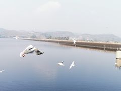 -三岔湖景区
