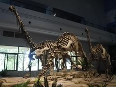 -自贡恐龙博物馆