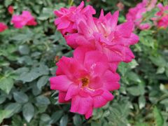 -人民公园(罗湖区)