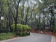 -岳麓山风景名胜区