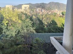 -南山公园