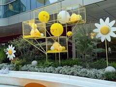 -SM城市广场(扬州店)