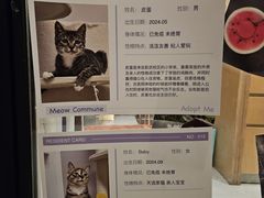 -Punchline Coffee&Roaster(同济大学店)