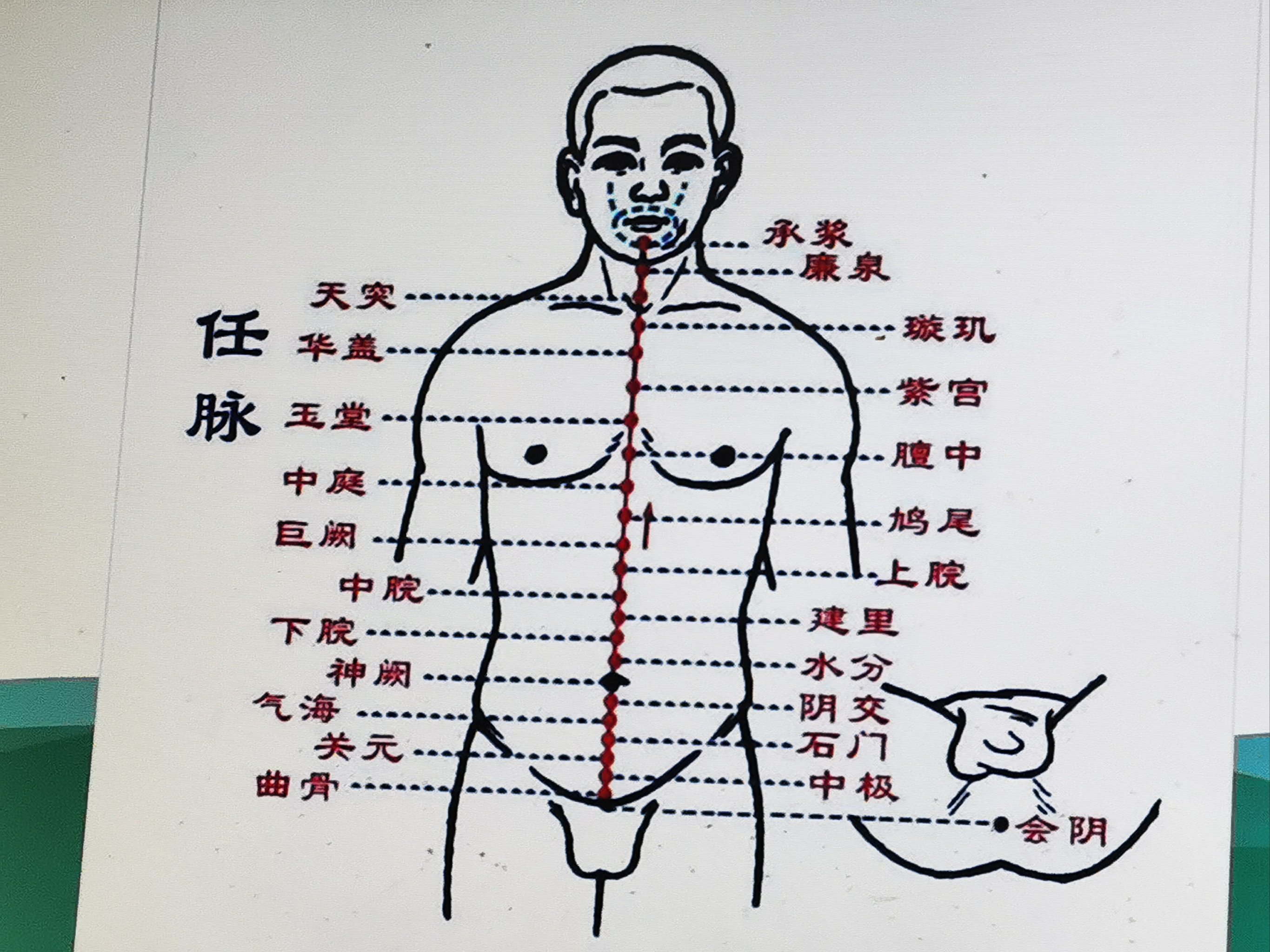 任脉 大众点评