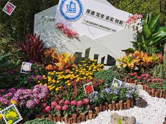 -南山植物园