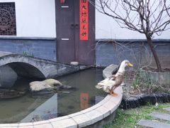 -千灯古镇