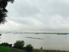 -八仔大富楼·河鲜(西江店)