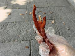 -浔蹄(南浔总店)