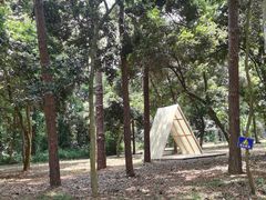 -南宁良凤江国家森林公园