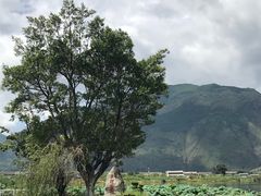 -大理洱源西湖景区
