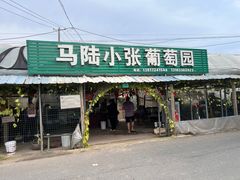 -马陆小张葡萄园农家乐