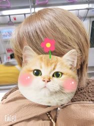 -莎丽轩护肤造型