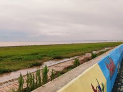 -南汇嘴观海公园