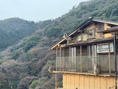 -岚山猴子公园