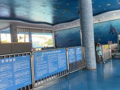 -黄金海岸水上乐园