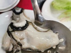 -濠轩阁特色生蚝火锅(水湾路店)