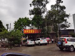 -乡间豆腐鱼