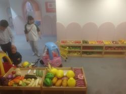 -宝燕乐园(春申店)
