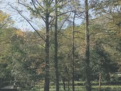 -五泄景区