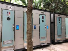 -东平国家森林公园