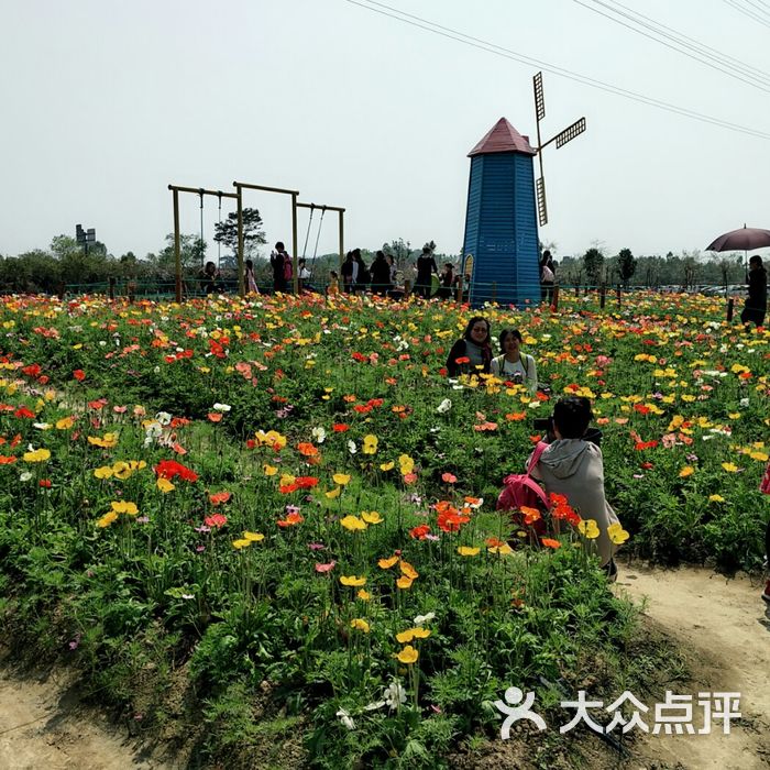 三水九道谷风景区图片