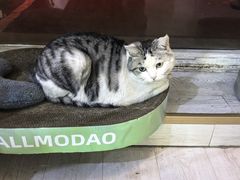 -青春加萌照相馆