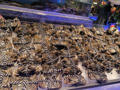 -一方渔歌蒸汽海鲜自助(文化路万达广场店)