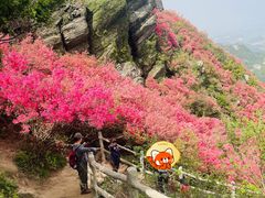 -木兰云雾山