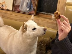 -柴の食堂·日式家庭料理·熊之肆(大学路店)